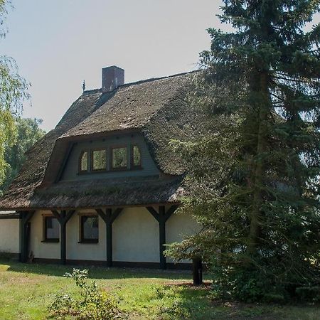 Haus Schilfkante - Wohnung 2 Wieck Exteriör bild
